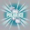 image:image6 Pack ECLIPSE Winterfrost Sugar Free Chewing Gum Bulk Pack 60 Piece BottlePolar Ice
