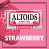 image:imageALTOIDS Arctic Wintergreen Breath Mints Sugar Free Hard Candy Bulk 12 oz Tin 8 Pack12 Ounce Pack of 8