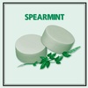 image:imageAltoids Spearmint Mints 176 Ounce 12 Packs176 Ounce  6 Count Pack of 2