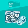 image:imageEXTRA Gum Sweet Watermelon Sugarfree Bulk Individually Wrapped Long Lasting Fruit Gum Watermelon Flavor Perfect for Fresh Breath at School Work amp Travel 15 Count Pack of 10Polar Ice