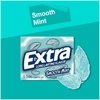 image:imageEXTRA Gum Sweet Watermelon Sugarfree Bulk Individually Wrapped Long Lasting Fruit Gum Watermelon Flavor Perfect for Fresh Breath at School Work amp Travel 15 Count Pack of 10Mint
