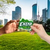 image:imageEXTRA Gum Sweet Watermelon Sugarfree Bulk Individually Wrapped Long Lasting Fruit Gum Watermelon Flavor Perfect for Fresh Breath at School Work amp Travel 15 Count Pack of 10Spearmint
