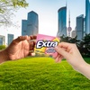 image:imageEXTRA Pink Lemonade Gum  Sugar Free Chewing Gum Bulk Pack 10 Packs per Inner Total 150 Sticks15 Count Pack of 120