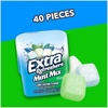 image:imageEXTRA Refreshers Mint Mix Gum 321Ounce 40Piece Bottle Pack of 640 Count Pack of 6