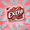 image:imageExtra Cinnamon Sugarfree Gum Bulk Individually Wrapped Perfect for Fresh Breath at School Work and Travel 15 Count 10 Pack15 Count Pack of 20