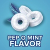 image:imageLIFE SAVERS PepOMint Hard Candy Single Size Rolls Mints Bulk Peppermints Hard Candies 84 Ounce 20Count BoxPepOMint