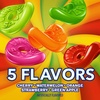image:imageLIFE SAVERS Wild Berry Gummy Candy Variety Pack Assorted Candy Variety Pack Bulk 7 oz 12 Bags of Gummies5 Flavors Gummies