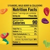 image:imageLIFE SAVERS Wild Berry Gummy Candy Variety Pack Assorted Candy Variety Pack Bulk 7 oz 12 Bags of GummiesGummy Variety