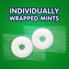 image:imageLIFE SAVERS Wild Berry Gummy Candy Variety Pack Assorted Candy Variety Pack Bulk 7 oz 12 Bags of GummiesWintOGreen