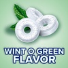 image:imageLife Savers WintOGreen Summer Candy Individually Wrapped Hard Mints Sharing Size 13 Ounce13 Ounce Pack of 1