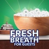 image:imageLife Savers WintOGreen Summer Candy Individually Wrapped Hard Mints Sharing Size 13 Ounce312 Pound Pack of 1