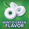 image:imageLife Savers WintOGreen Summer Candy Individually Wrapped Hard Mints Sharing Size 13 Ounce312 Pound Pack of 1