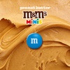 image:imageMampMS MINIS Peanut Butter Milk Chocolate Summer Candy Bulk Summer Snacks Sharing Size 86 Oz Resealable Bag86 Ounce Pack of 2