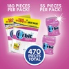 image:imageORBIT Bubblemint Sugar Free Chewing Gum Bulk Pack 2 Pack  180 Piece Bag amp 2 Pack  55 Piece Bottle470 Count Pack of 2