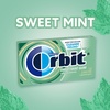 image:imageORBIT Sweet Mint Sugar Free Individually Wrapped Chewing Gum Mint Bulk Box  12 Packs of 14Pieces 168 Total PiecesSweet Mint
