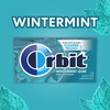 image:imageORBIT Wintermint Sugar Free Individually Wrapped Chewing Gum Mint Bulk Box  12 Packs of 14Pieces 168 Total Pieces1 Count Pack of 168