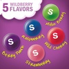 image:imageSKITTLES Wild Berry Chewy Candy Share Size Movie Night Party Favor Candy Snack 156 Oz Resealable BagWild Berry