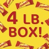 image:imageSTARBURST Original Fun Size Individually Wrapped Chewy Party Favor Candy Bulk Box 4 Pound Box