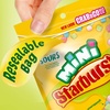 image:imageSTARBURST Fruit Chews  Mini Sours 8oz Pack of 8  Mini Candy Sour Candy BulkMinis Sours