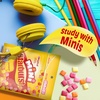 image:imageSTARBURST Fruit Chews  Mini Sours 8oz Pack of 8  Mini Candy Sour Candy BulkOriginal